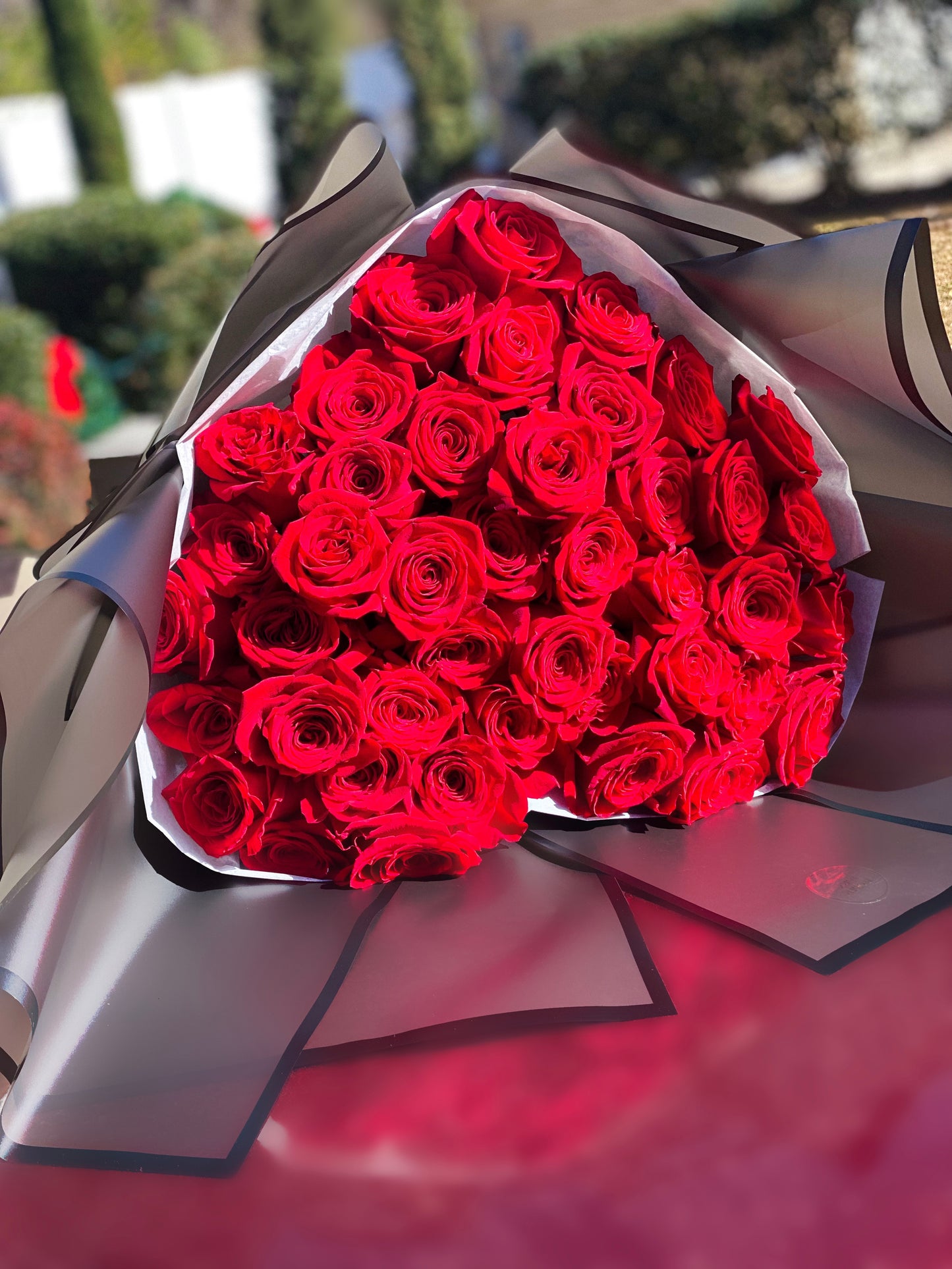 Valentine’s Day Collection