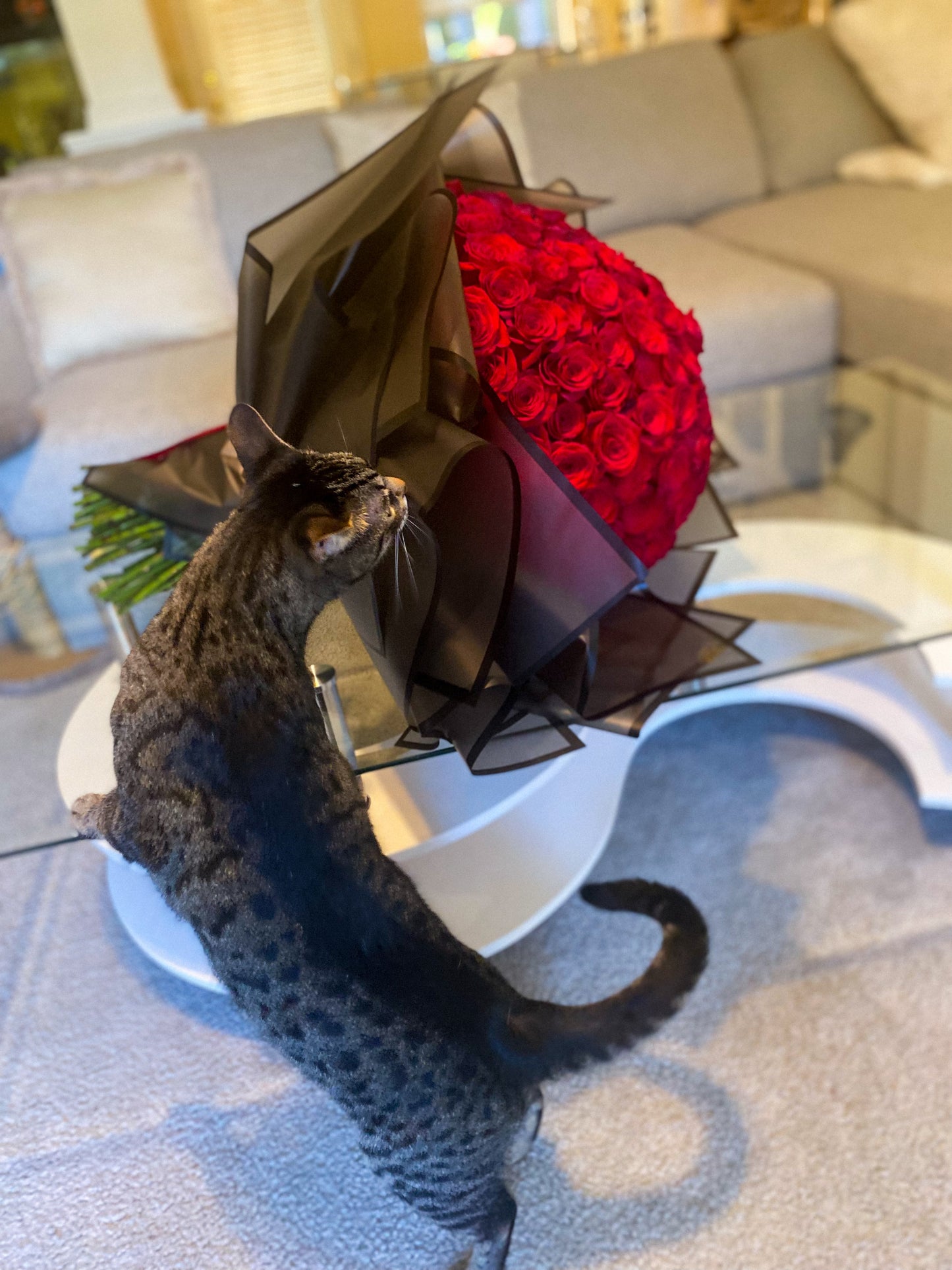 150 Long Stem Fresh Red Roses