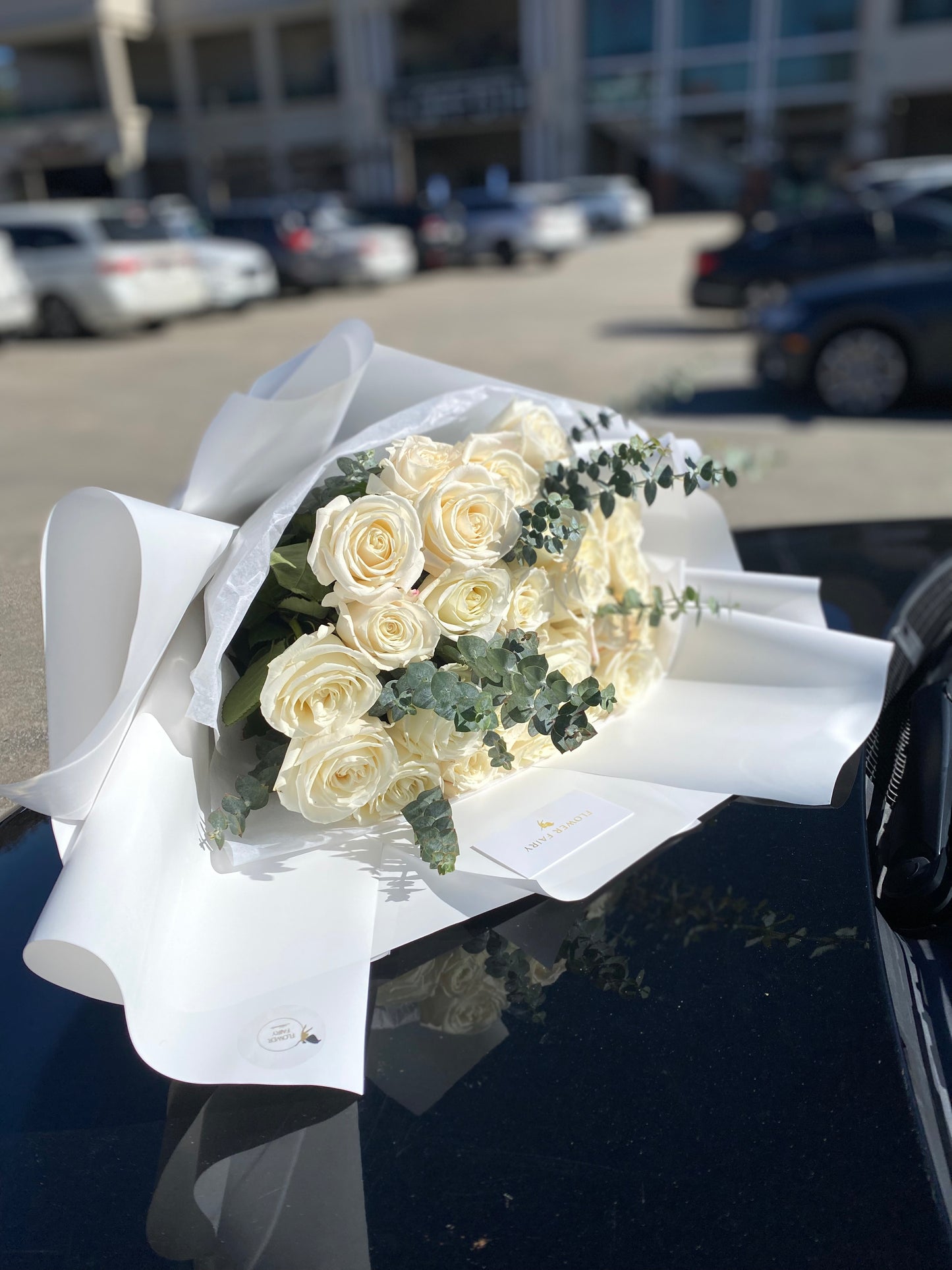 Splash LONG STEM Roses