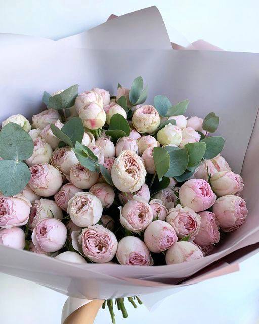 51 Peonies