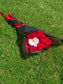 24 long stem roses and orchids