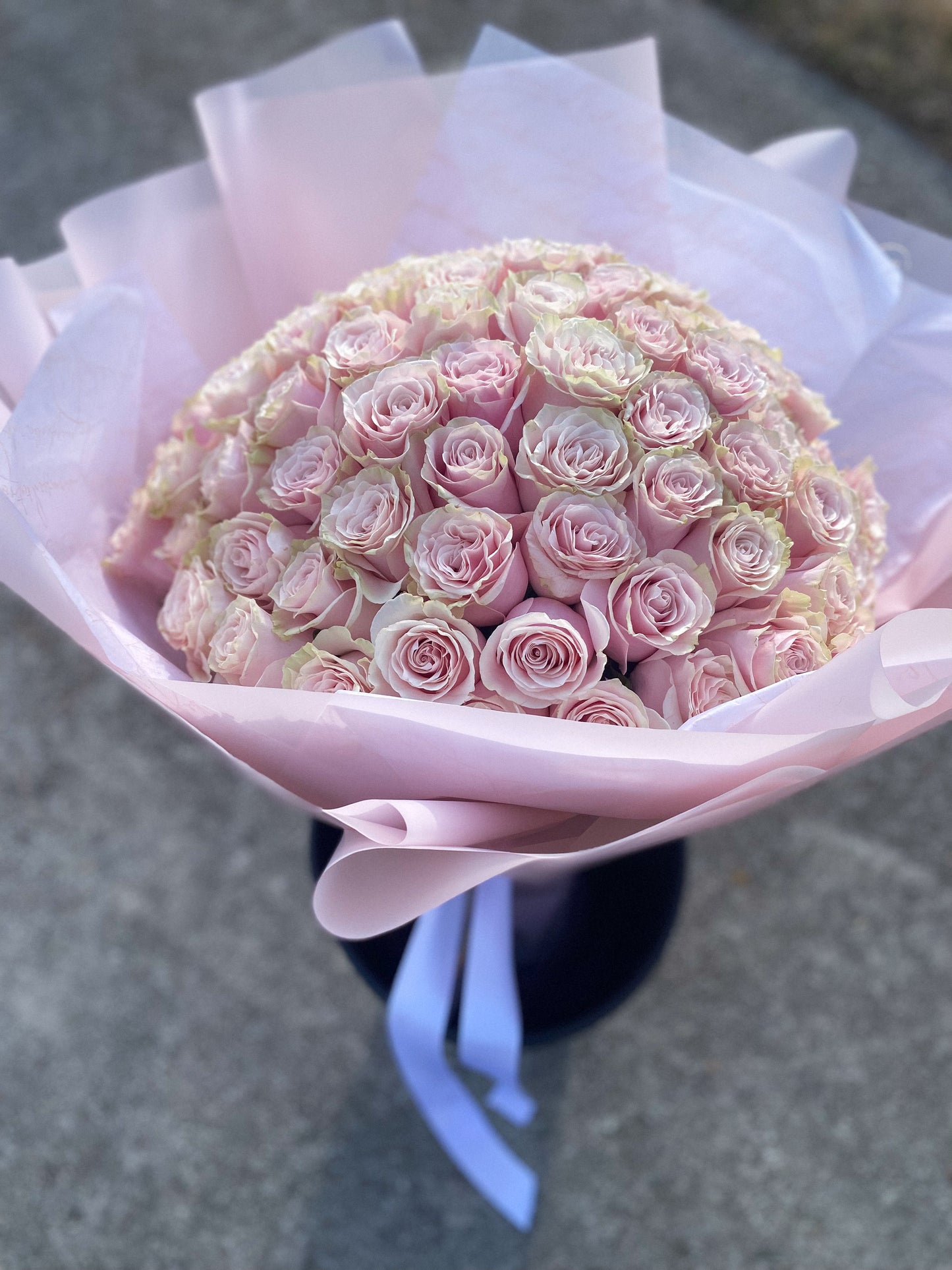 100  LONG STEM Roses