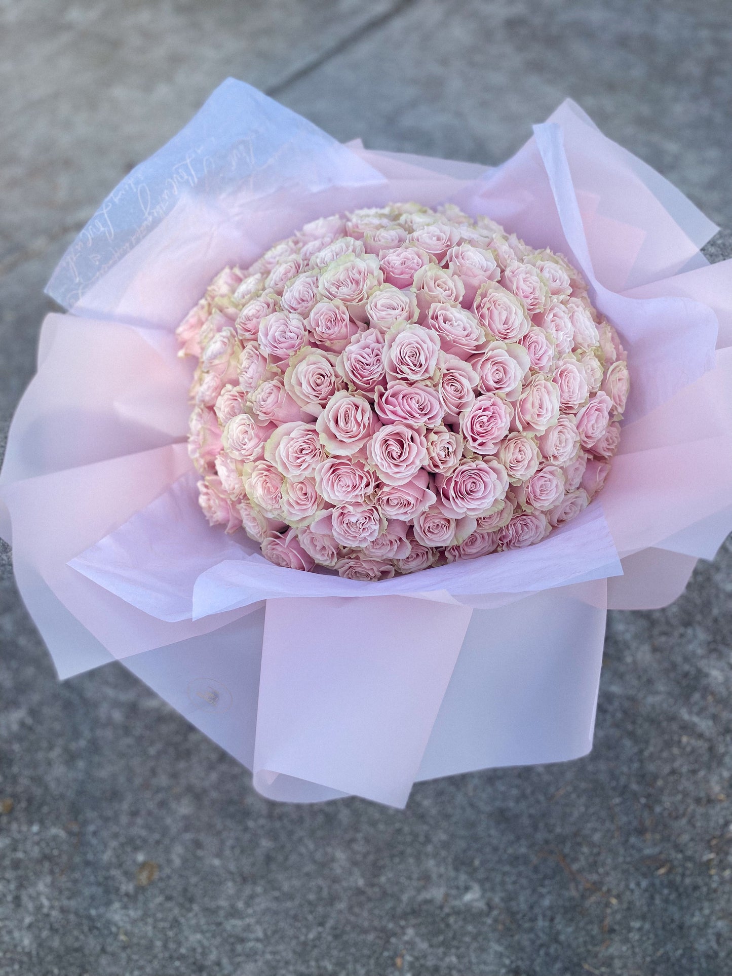 100  LONG STEM Roses