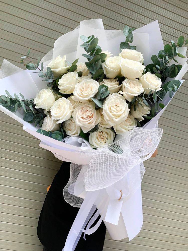 Splash  LONG STEM Roses